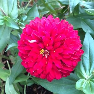 Meet your Posher, Karen